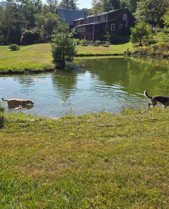 The Heart-Shaped Pond